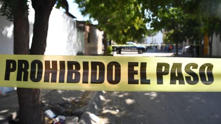 Rosa María fue asesinada a golpes por su pareja en Puebla