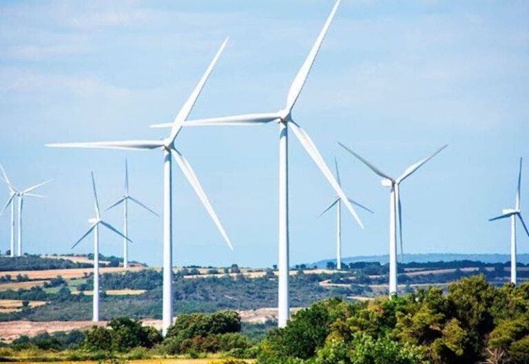 Fortaleció un fallo judicial al sector energético