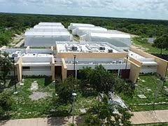 Interés en el mejoramiento de varios cultivos agrícolas Interés en el mejoramiento de varios cultivos agrícolas