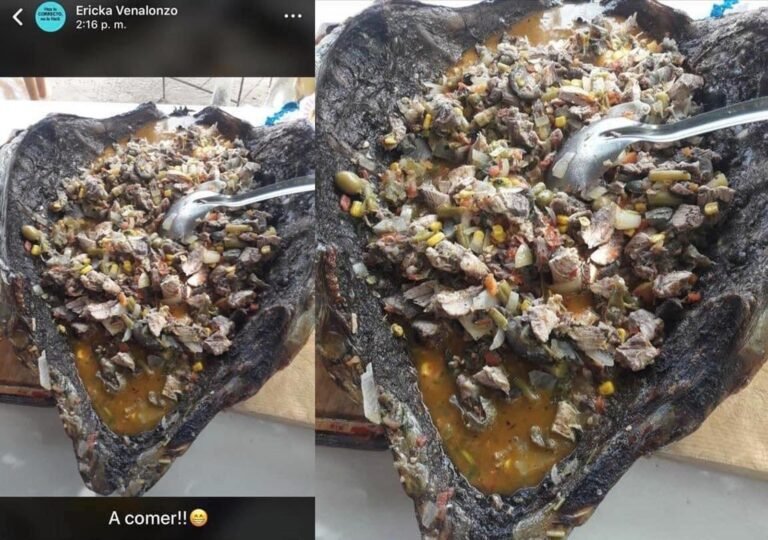 Regidor de Morena se come tortuga en peligro de extinción, la bautizan como #LADYCAGUAMA 🐢