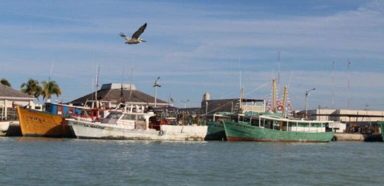 Abren Peso a Peso para pescadores