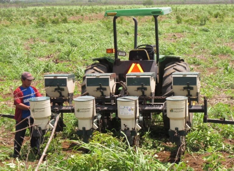 Nueva iniciativa de ley sobre el cultivo de semillas