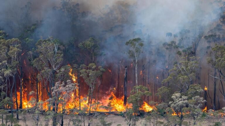 Un colapso climático serán peor que la pandemia