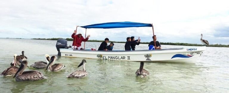 Progreso perdió $300 millones