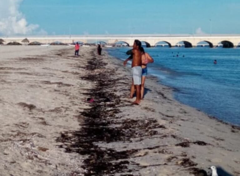 Numerosos paseantes en Progreso: intensifican la vigilancia