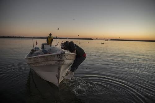 San Felipe, a la espera del plan oficial para regular la pesca San Felipe, a la espera del plan oficial para regular la pesca