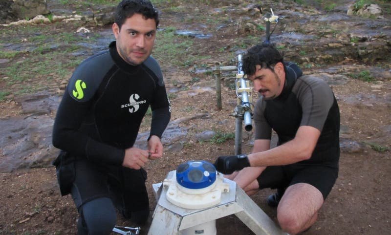 Tres especies luchan por su supervivencia Tres especies luchan por su supervivencia