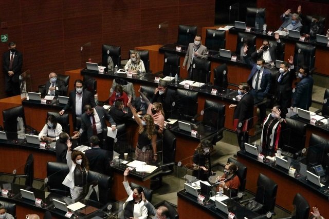 Senado elige a dos nuevos comisionados del INAI