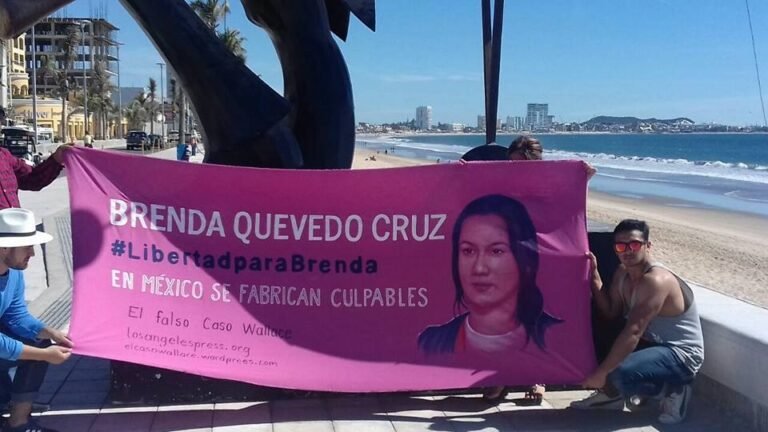 Se cumplirá petición de ONU de reparar daño a detenida por caso Wallace: AMLO