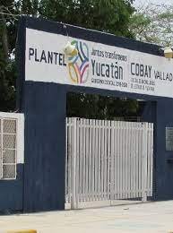 Vinculación a exfuncionario por desviar recursos del Cobay de Tekit Vinculación a exfuncionario por desviar recursos del Cobay de Tekit