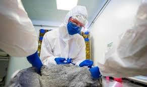 Rusia produce primer lote de vacuna contra covid-19 para animales: Carnivac-Cov