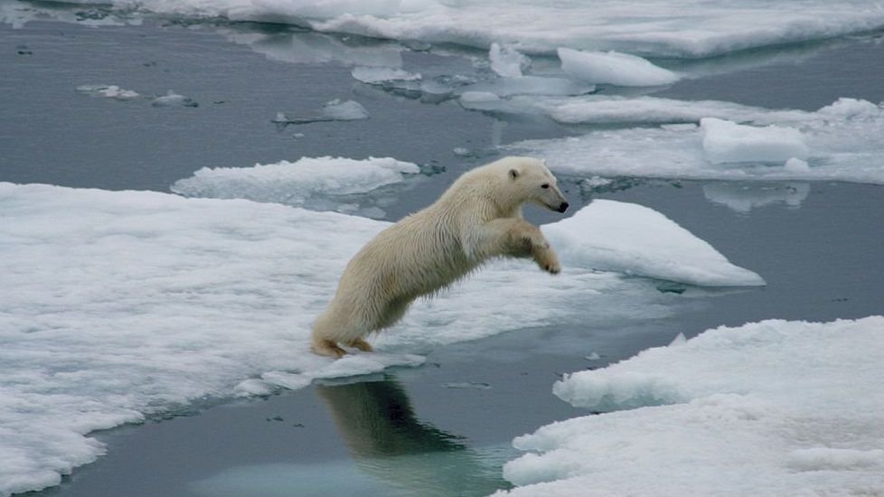 Trump dará concesiones en refugio ártico de Alaska a empresa petroleras Trump dará concesiones en refugio ártico de Alaska a empresa petroleras