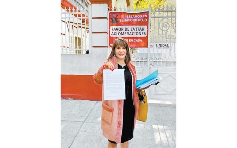 Farsa selección de candidato en morena: Claudia Yañez