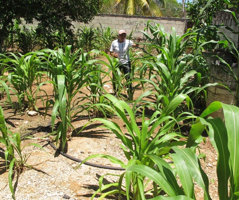 Así será el clima según las cabañuelas para este 2021 Así será el clima según las cabañuelas para este 2021