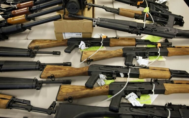 Familias mexicanas se arman contra la inseguridad