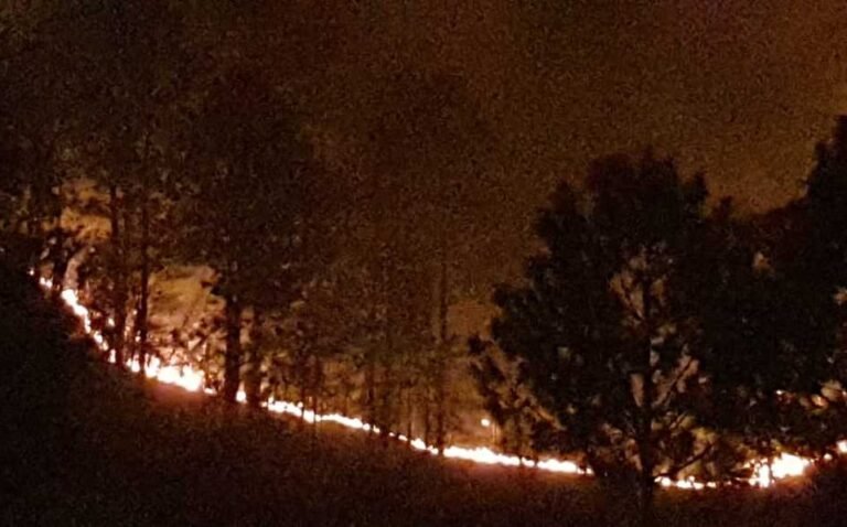 Incendio en sierra de Arteaga, Coahuila, se ha controlado 55% y 71% en sierra de Santiago, NL