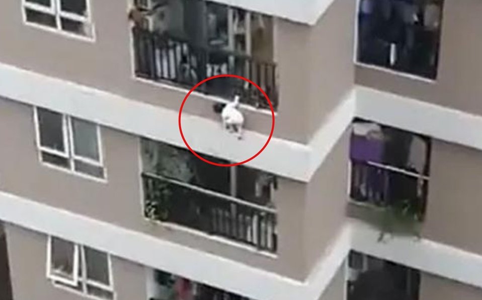 ¡Un héroe! Repartidor salva la vida de niña que cayó de 12 pisos de altura ¡Un héroe! Repartidor salva la vida de niña que cayó de 12 pisos de altura