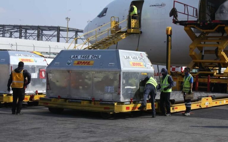 Llega a México nuevo lote de vacunas anticovid de Pfizer
