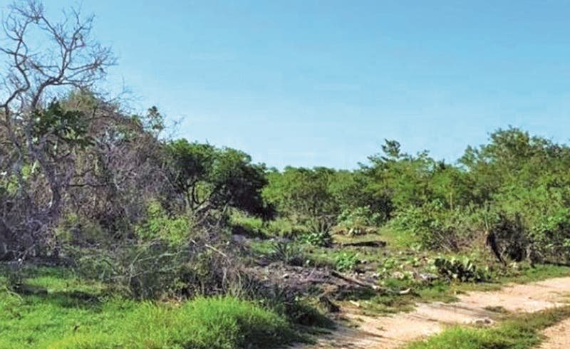 Ley »contra fraudes» Ley »contra fraudes»