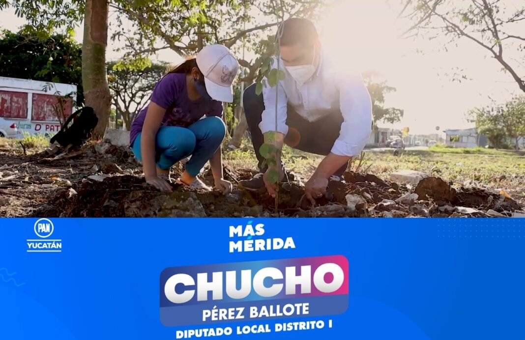«Por cada voto que reciba, sembraremos un árbol», Chucho Pérez Ballote PAN «Por cada voto que reciba, sembraremos un árbol», Chucho Pérez Ballote PAN