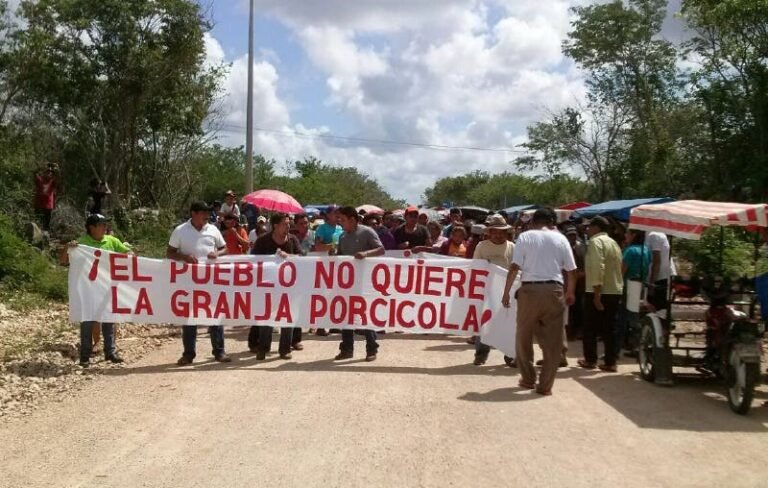 Queja infundada: Se confirma un amparo contra la granja de Homún