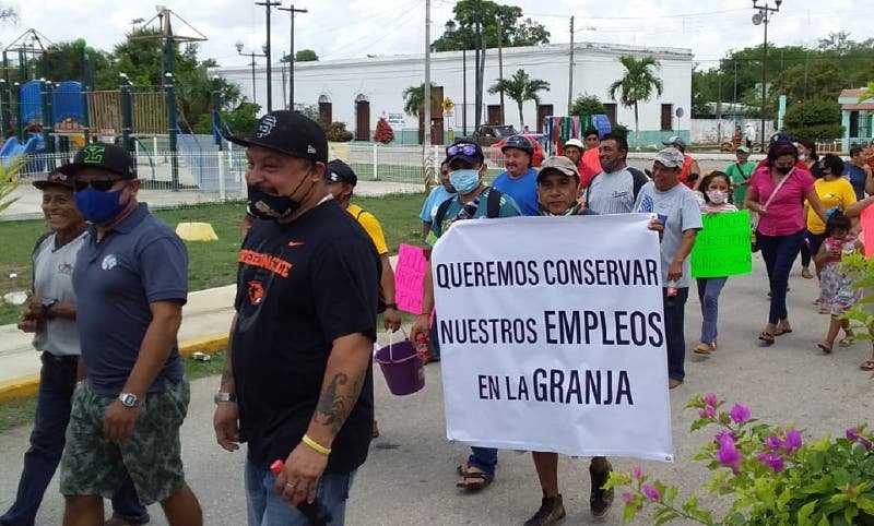 »Nos dejaron sin empleo», acusan trabajadores de una granja »Nos dejaron sin empleo», acusan trabajadores de una granja