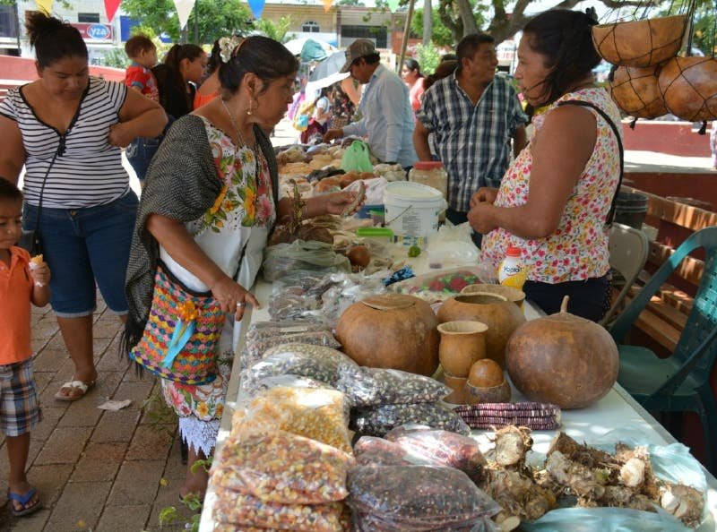 Piden cuidar la diversidad de la semilla yucateca Piden cuidar la diversidad de la semilla yucateca