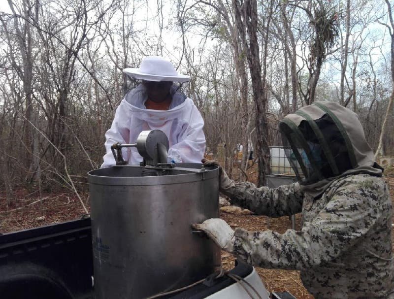 Impulso a los apicultores Impulso a los apicultores