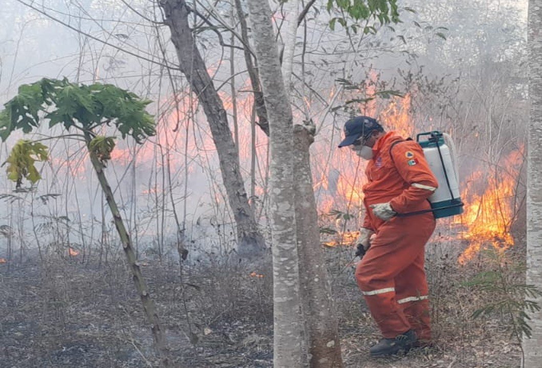 Llama Procivy a mantener la guardia en alto, para evitar aumento de incendios Llama Procivy a mantener la guardia en alto, para evitar aumento de incendios