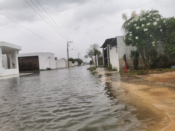 Alerta naranja por lluvias intensas y rachas en Yucatán: en Mérida ya hay »inundaciones» y árboles caídos Alerta naranja por lluvias intensas y rachas en Yucatán: en Mérida ya hay »inundaciones» y árboles caídos