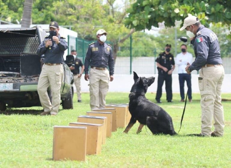 Entregan nuevos agentes caninos y equipo a la SSP