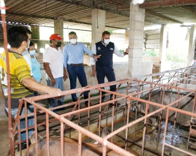 Recursos para los productores Recursos para los productores