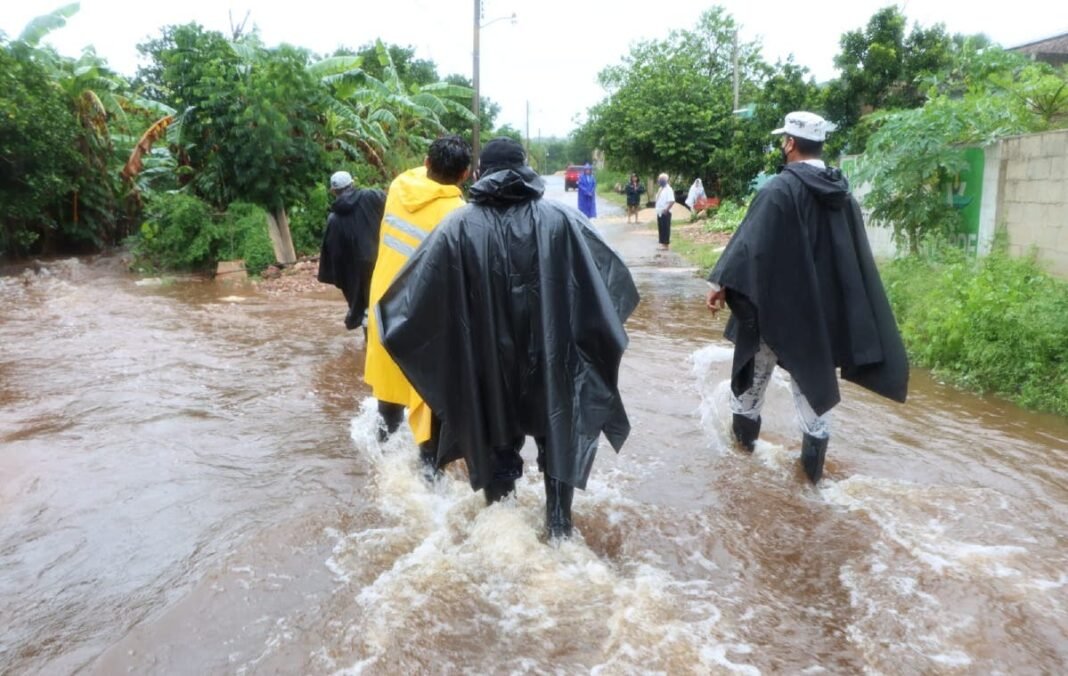 Fueron mínimas las afectaciones que dejó “Grace” Fueron mínimas las afectaciones que dejó “Grace”