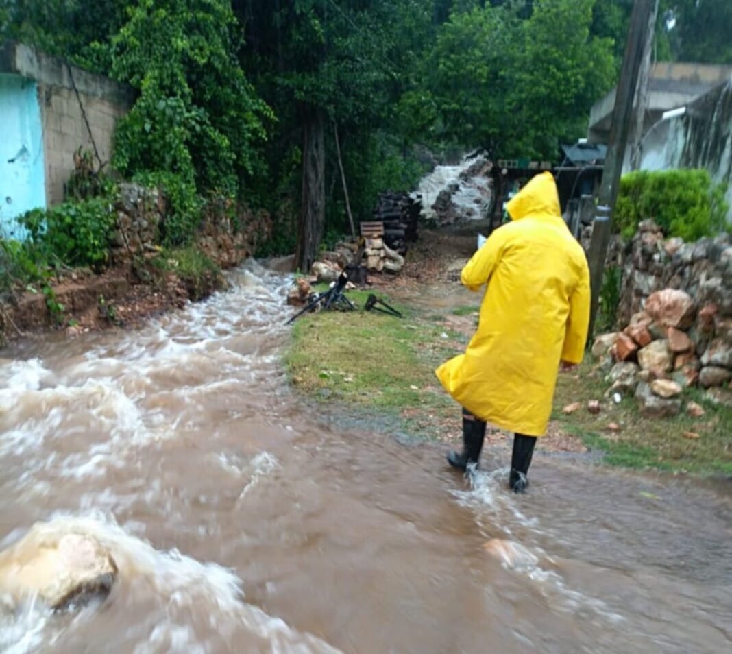 Estragos de “Grace” en cifras Estragos de “Grace” en cifras