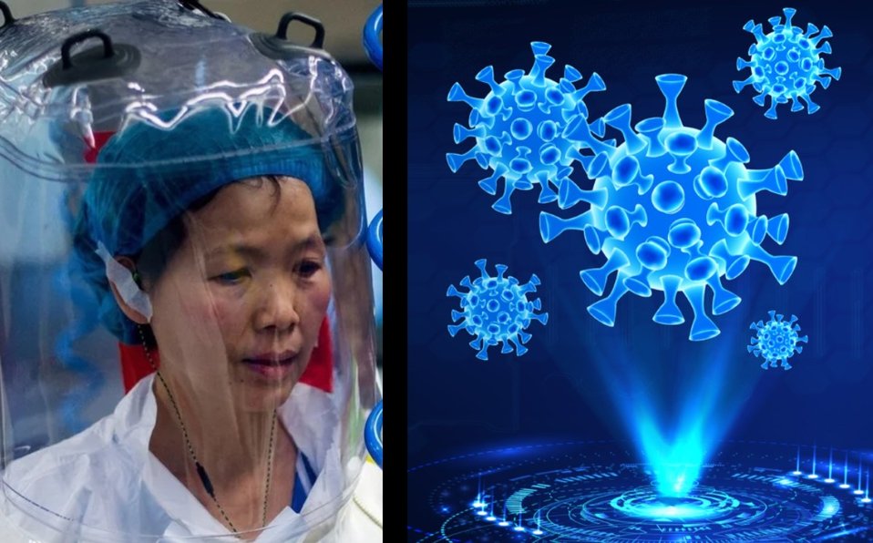 Alarmante pronóstico: Viróloga china advierte que habrá más mutaciones mortales de covid-19 Alarmante pronóstico: Viróloga china advierte que habrá más mutaciones mortales de covid-19