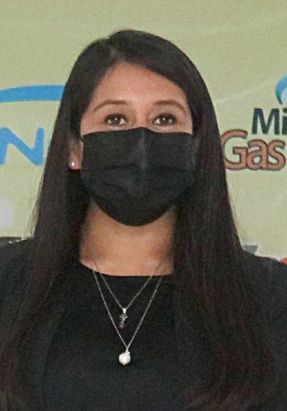 Ajustes para plan gasero Ajustes para plan gasero