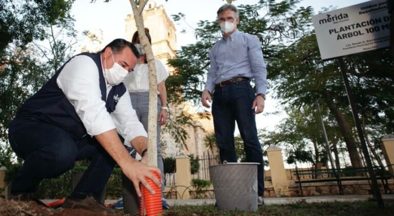 Mérida avanza hacia la sostenibilidad  para mitigar el cambio climático @RenanaBarrera
