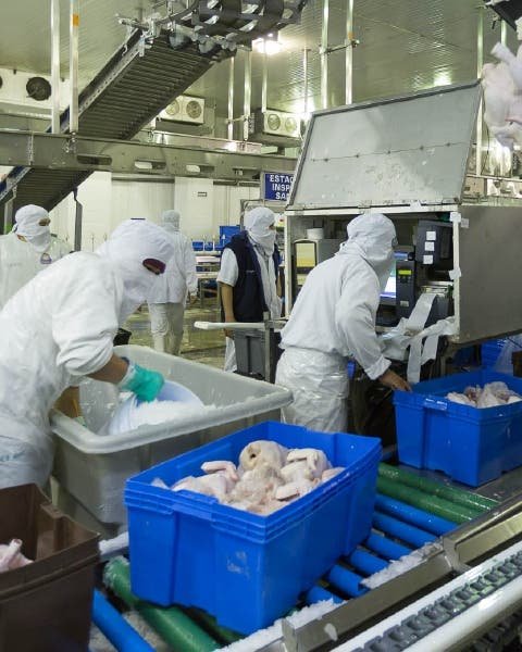 Recuperación de empleos Recuperación de empleos