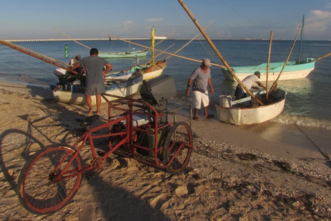 Amenazas a la pesquería Amenazas a la pesquería