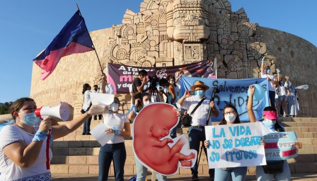 Defensa por la vida Defensa por la vida