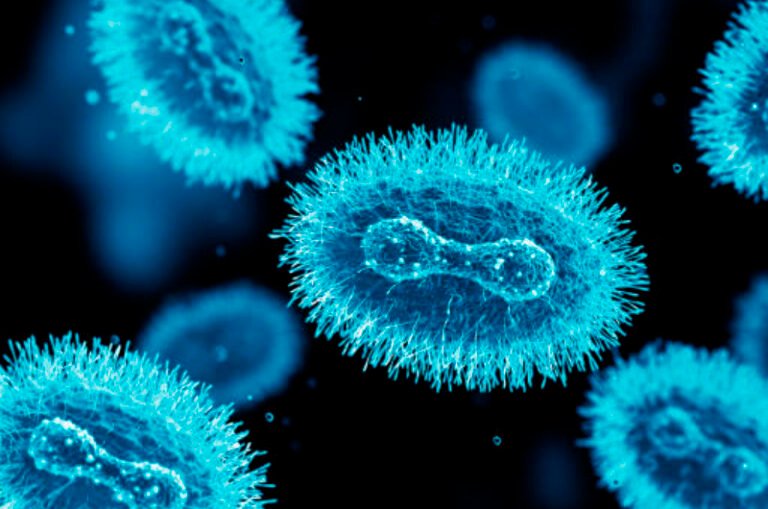 Organizaciones piden a la Secretaría de Salud actuar ante la viruela símica en Yucatán