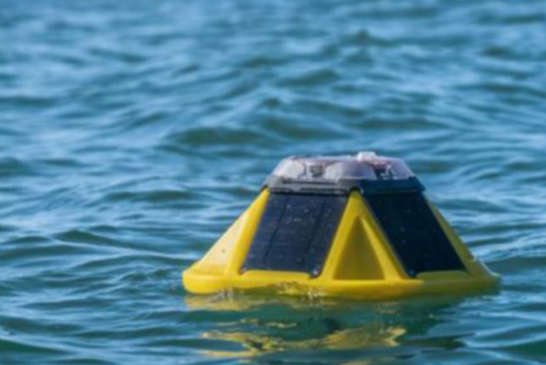 Roban boya, propiedad de la UNAM, frente a la costa de Sisal, Yucatán