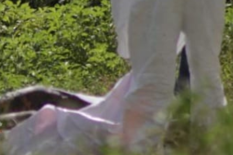 Encuentran cuerpo calcinado en la colonia El Milagro de Cancún