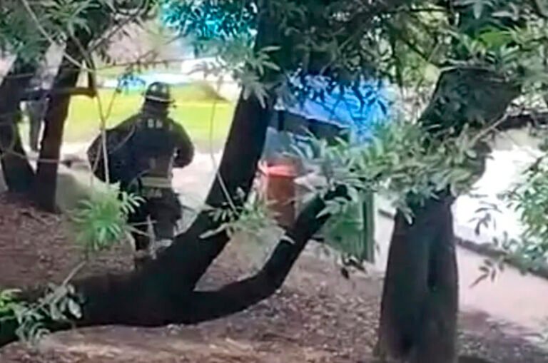 Hombre muere ahogado en Chapultepec