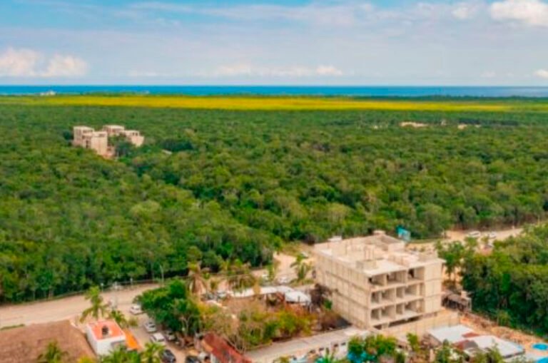 Presentan análisis hidrológico y de vegetación del Parque Nacional del Jaguar de Tulum