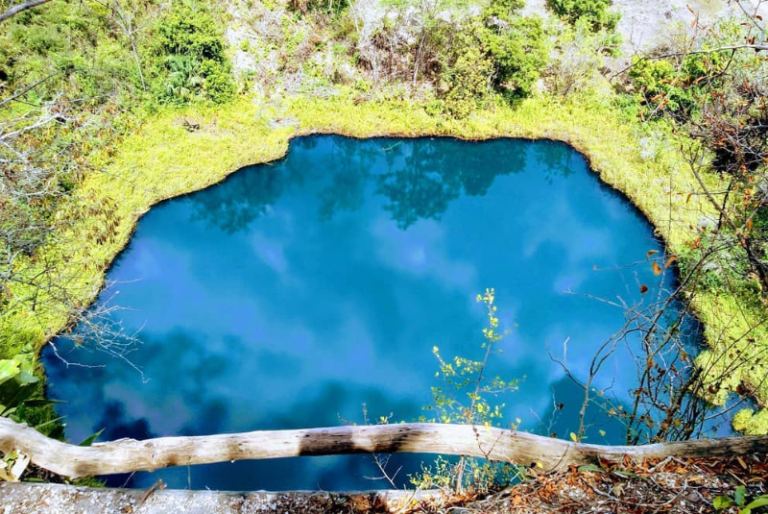 Cocodrilo Dorado, el enigmático cenote rodeado de leyendas en Quintana Roo