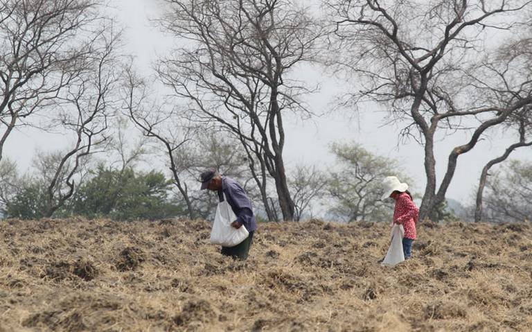 Sequía afecta a más de 200 municipios en Puebla