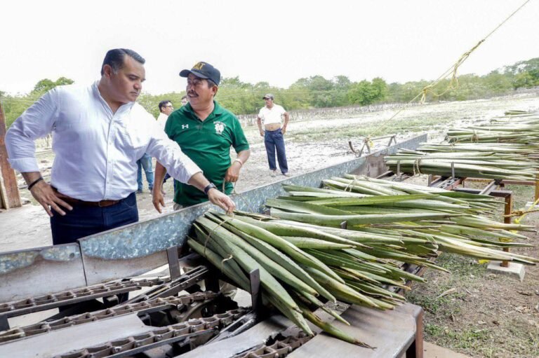 Con justicia social es posible la reactivación de la industria henequenera, indica alcalde de Mérida Renán Barrera