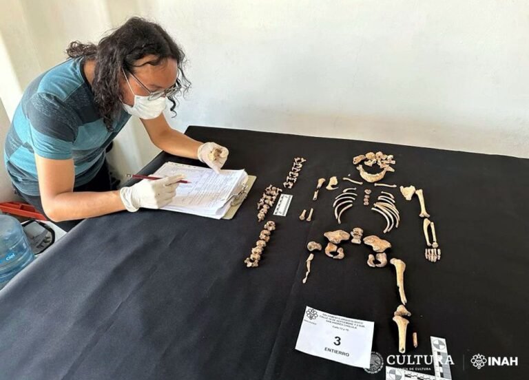 RESCATAN 11 ENTIERROS PREHISPÁNICOS EN EL CENTRO DE SAN ANDRÉS