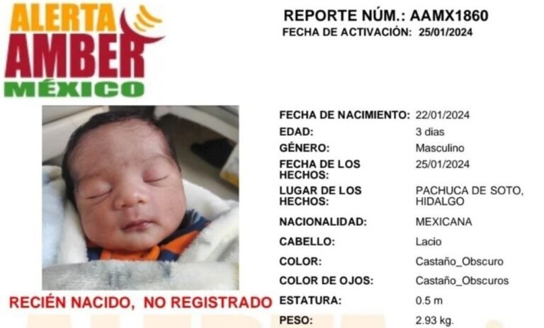 Un policía, la mente maestra detrás del robo de un recién nacido